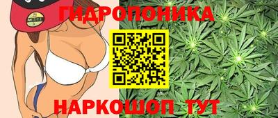 бошки Краснокаменск