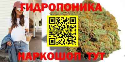 альфа пвп Краснодар